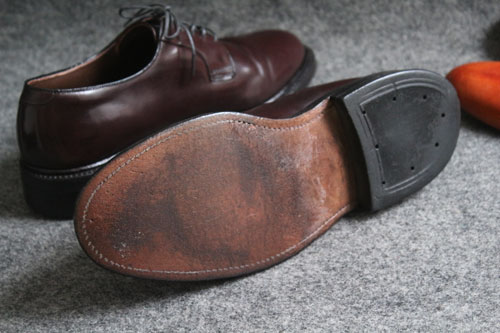 �h���X���i�摜d2460-011