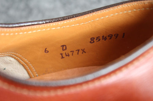 fbhXgbNi摜ds1240-010