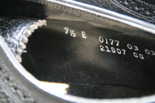 fbhXgbNi摜ds241-006