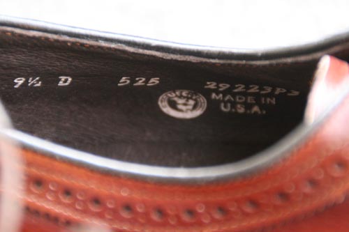 fbhXgbNi摜ds242-007