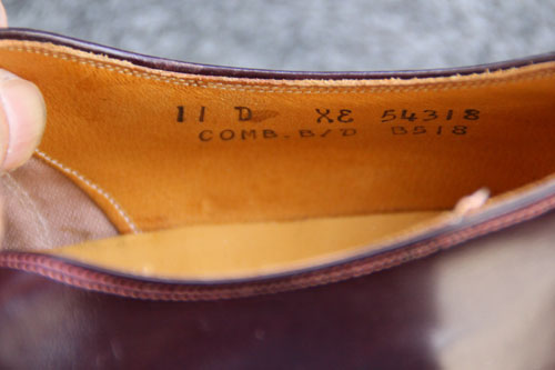 fbhXgbNi摜ds858-009