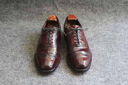 EBO`bvi摜t1610