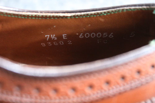 EBO`bvi摜t1308-008