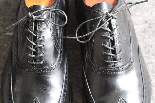 �E�B���O�`�b�v���i�摜t1536-004