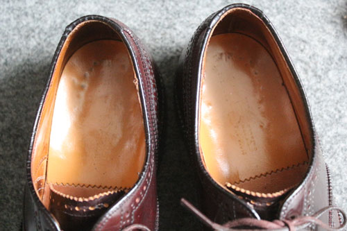 �E�B���O�`�b�v���i�摜t1537-008