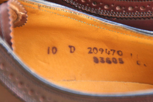 EBO`bvi摜t558-009